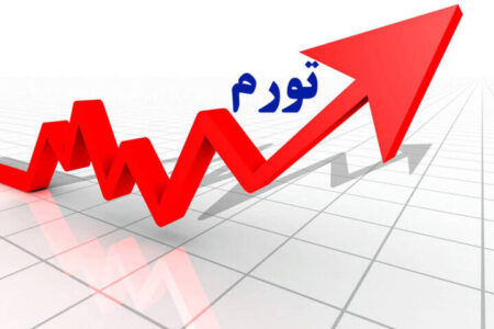 جهش تورمی در راه است؟ / فیاضی: هدف‌گذاری تورمی دولت چهاردهم، ایراد دارد