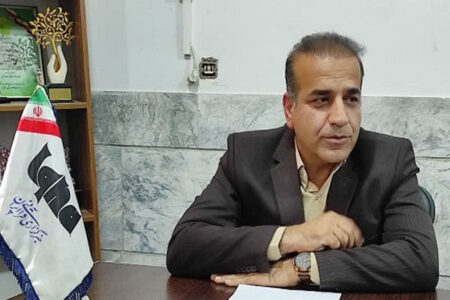 اجرای طرح «نشان‌دار کردن مالیات» گامی در راستای تحقق عدالت مالیاتی است