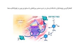 درخشش جهانی دانشگاه لرستان در شیمی آلی/ انتشار مقاله در نشریه معتبر بین‌المللی