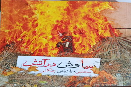 کتاب «سیاوش در آتش» منتشر شد