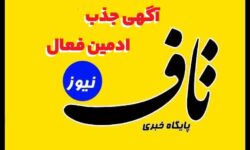 همکاری در تیم حرفه‌ای «تاف نیوز»
