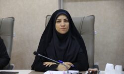 استفاده از ظرفیت‌‌های استانی در برنامه‌های فرهنگی مدنظر باشد