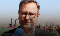 اعتماد به دانش و اصلاح الگوی کشت؛ راهبرد اصلی توسعه پایدار کشاورزی در لرستان