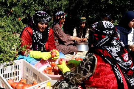 جشنواره انار کوهدشت؛ تلفیقی از فرهنگ، اقتصاد و طبیعت لرستان