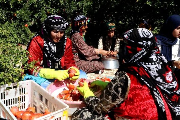 جشنواره انار کوهدشت؛ تلفیقی از فرهنگ، اقتصاد و طبیعت لرستان