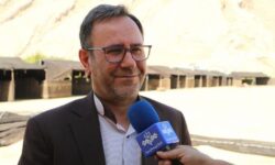 برداشت سالانه ۷۵ هزار تُن انار از ۳۵۰۰ هکتار باغات لرستان