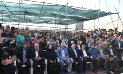 از دل باغ تا دل مردم؛ جشن انار در تنگ سیاب