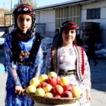 IMG 20251104 110712 178